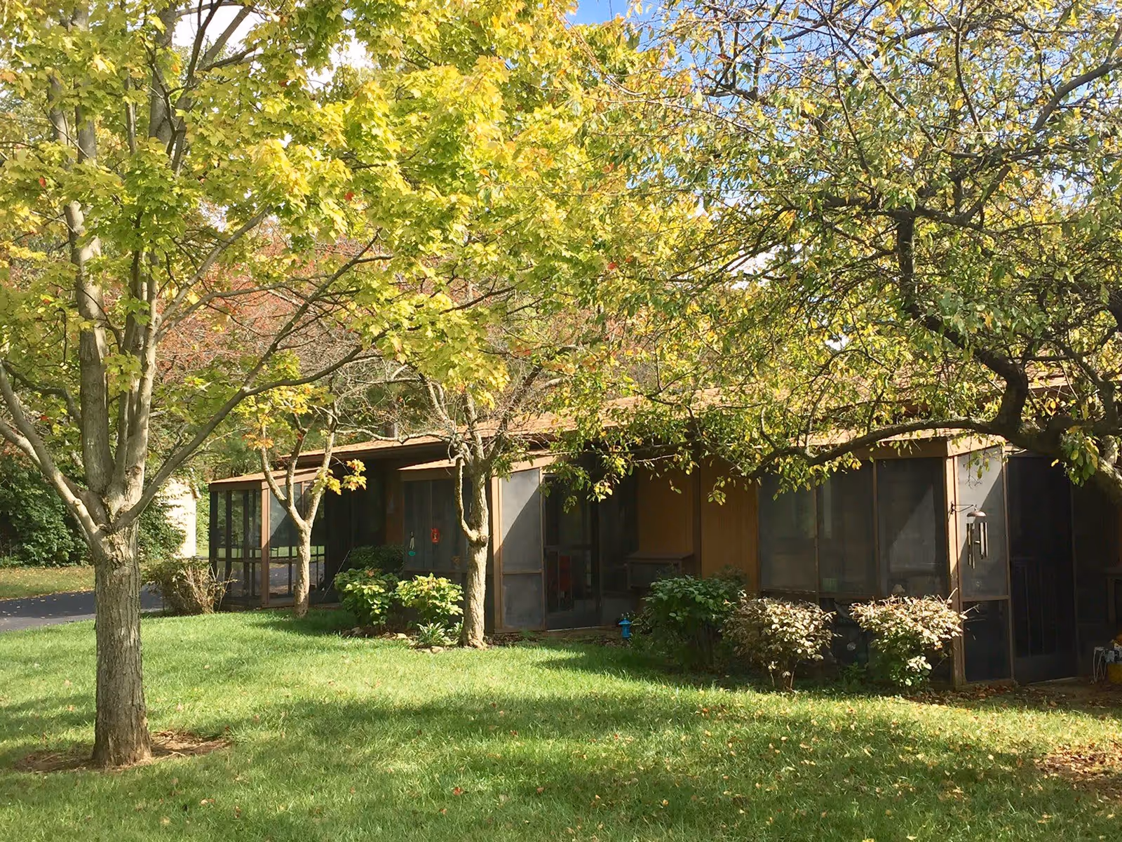 Exterior view of a single-story building partially obscured by trees with green and yellow leaves, surrounded by a well-maintained grassy lawn and shrubs, under a clear sky.