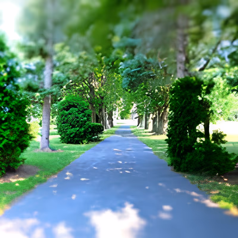 A paved pathway lined with green trees and bushes on both sides, creating a shaded, serene outdoor walkway.
