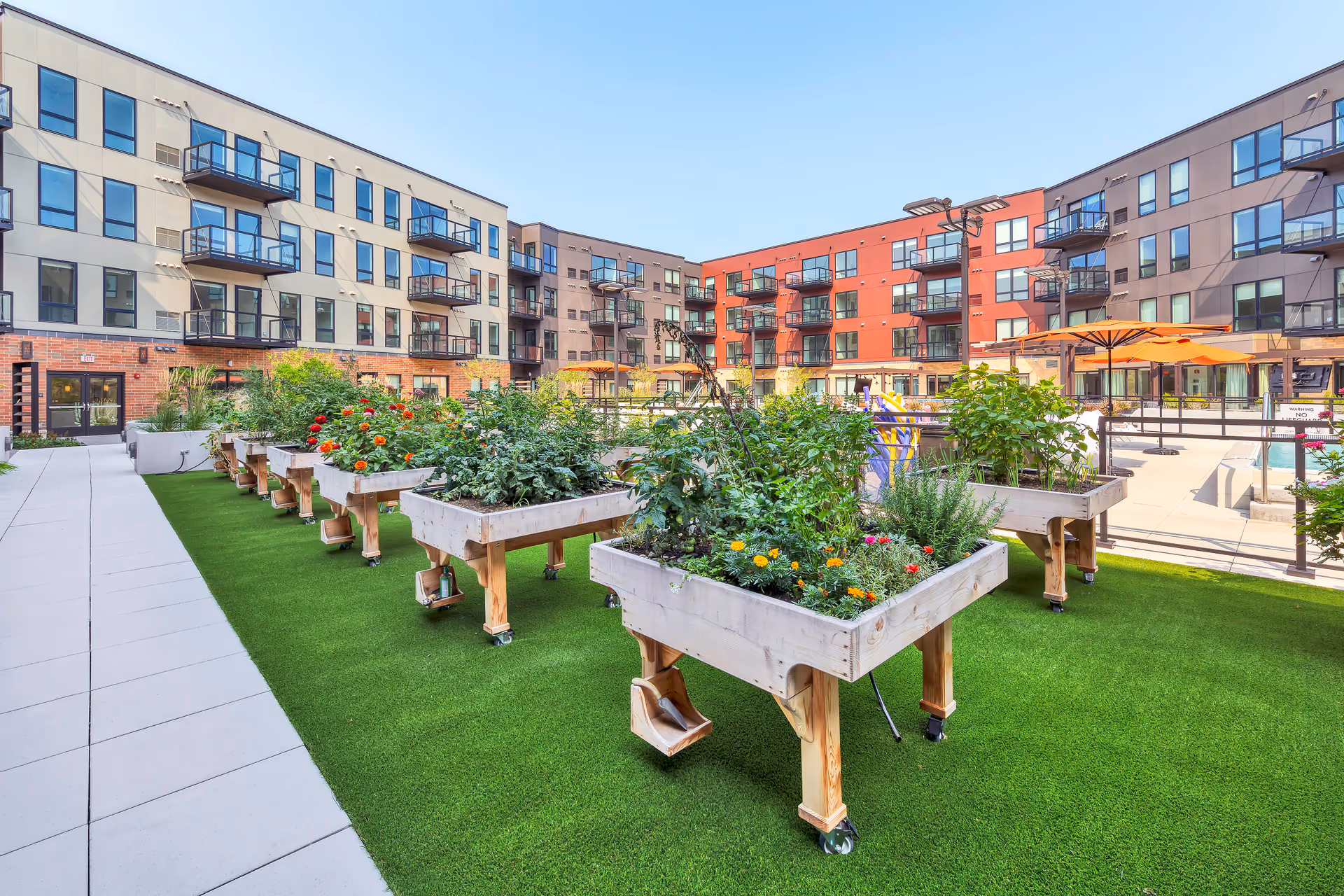 Outdoor courtyard garden area at Avidor Glenview featuring raised wooden planter boxes with various plants and flowers, surrounded by a green artificial turf lawn. The courtyard is enclosed by a multi-story apartment building with balconies and large windows. There are orange umbrellas and a pool area visible in the background under a clear blue sky.