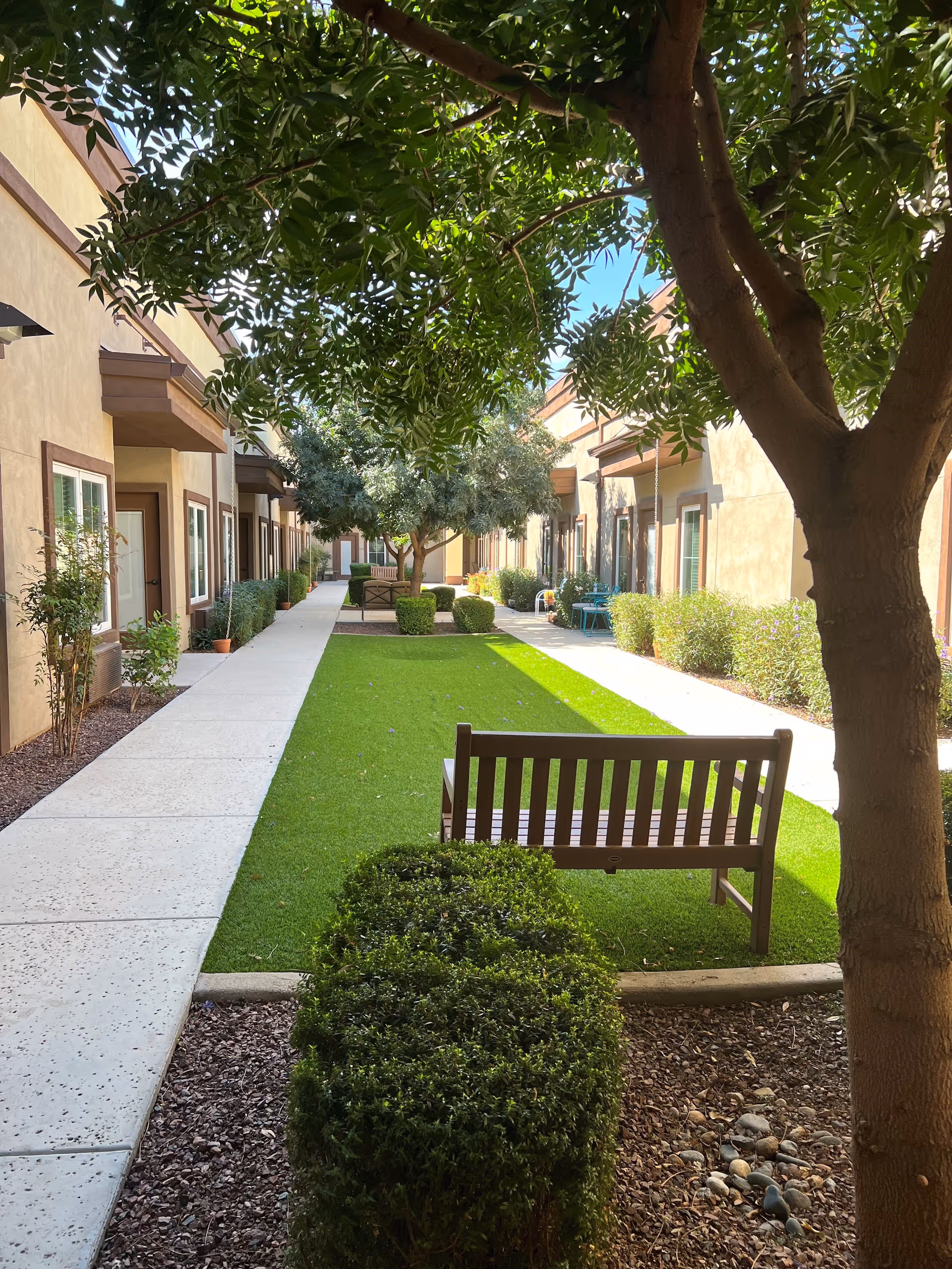 Photo 5 of Vineyard Park of Surprise