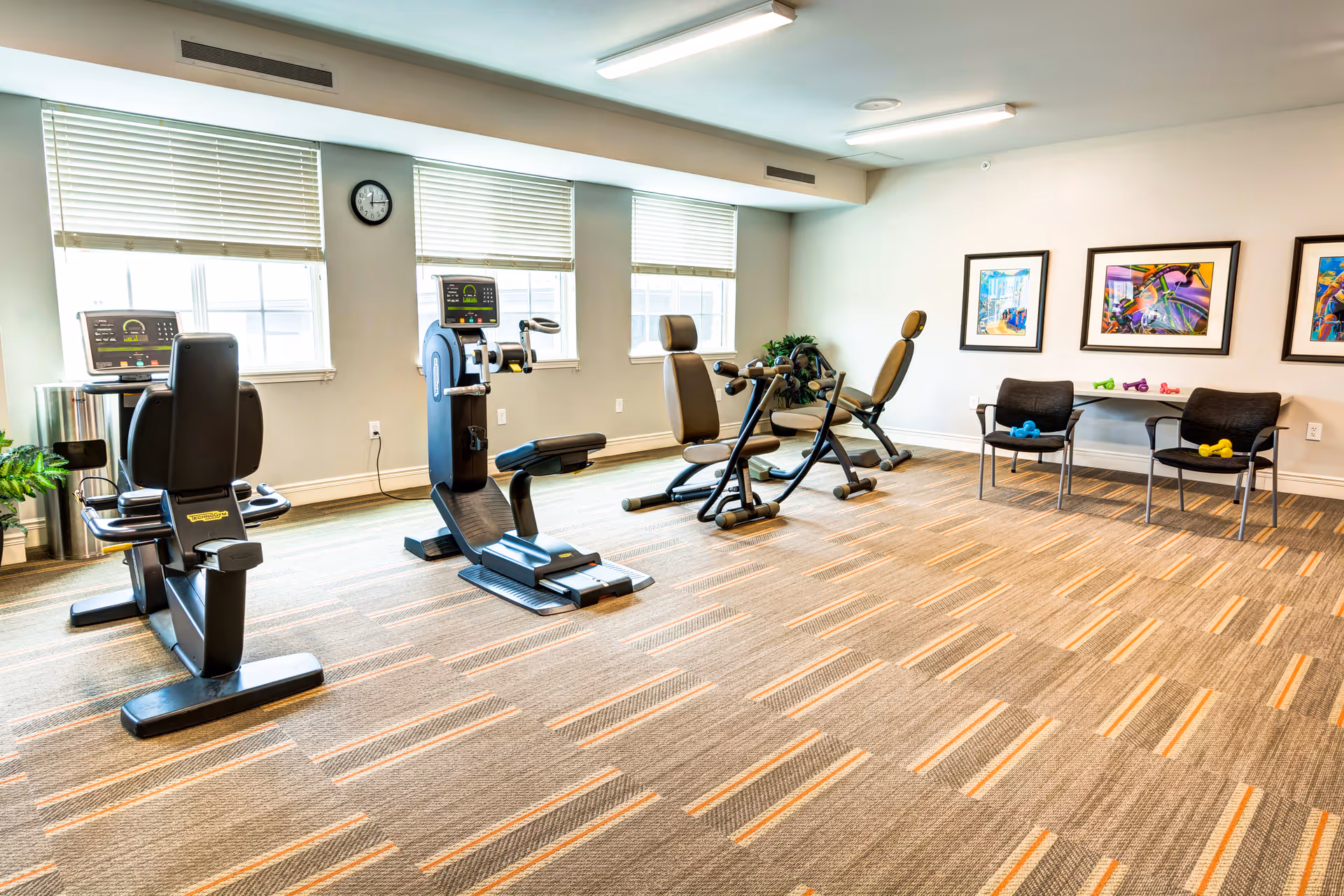 A bright exercise room with three pieces of fitness equipment positioned near windows with blinds. The room has carpeted flooring with a striped pattern and light-colored walls adorned with three colorful framed artworks. Two black chairs are placed against the wall with small dumbbells resting on them and a table behind them holding more dumbbells.