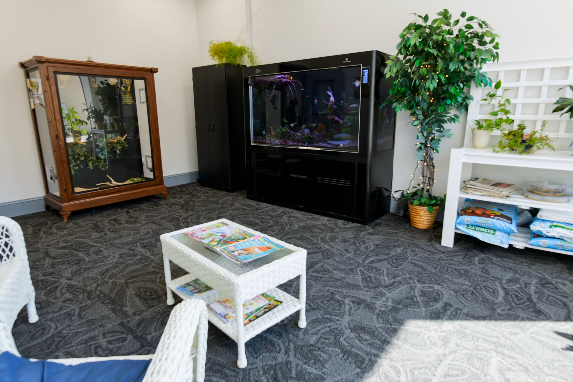Photo 7 of The Lamoine Assisted Living and Memory Care