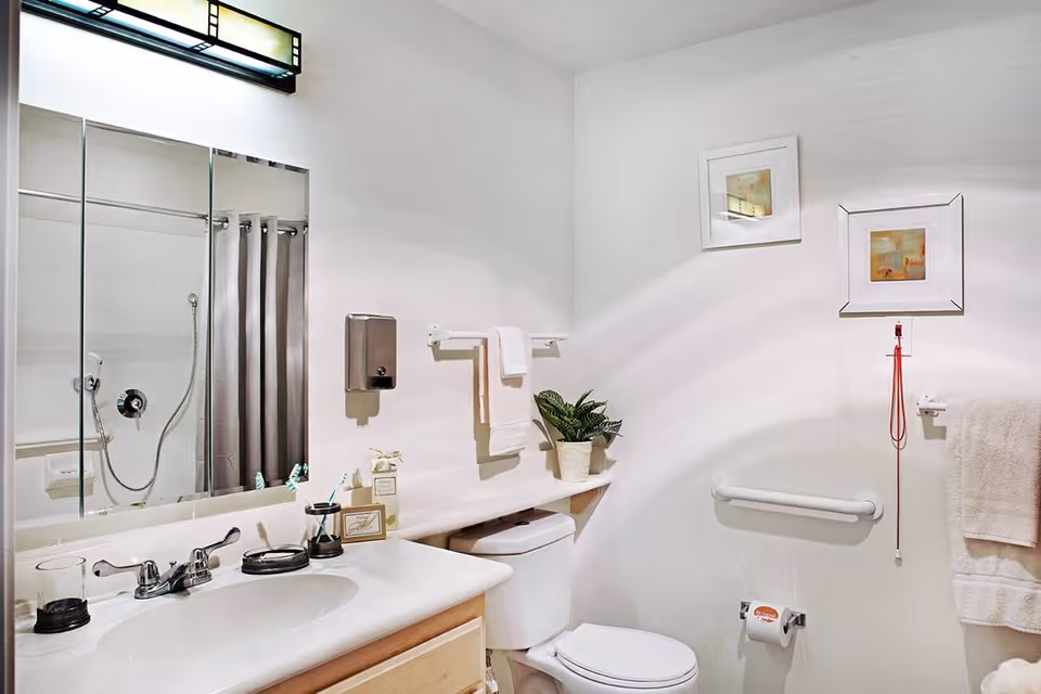 A clean and well-lit bathroom featuring a white sink with a silver faucet, a large mirror above the sink, a toilet with a potted plant on the tank, a towel rack with a white towel, a shower with a curtain, two framed pictures on the wall, a grab bar next to the toilet, and a red emergency pull cord.