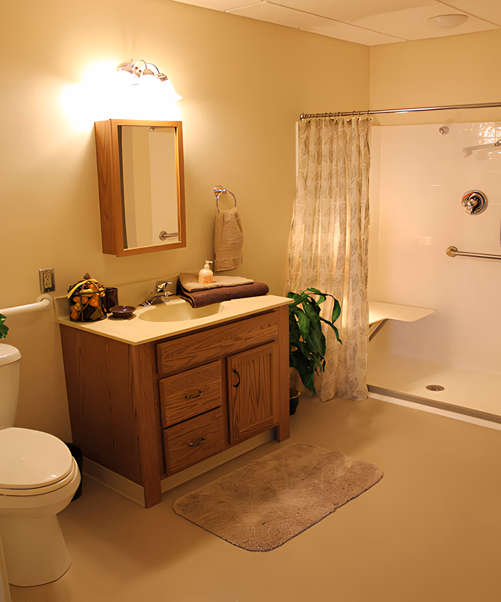 A well-lit bathroom with a wooden vanity cabinet, a sink, a mirror with lights above it, a toilet, a beige bath mat on the floor, a shower area with a curtain, and a green potted plant near the shower.