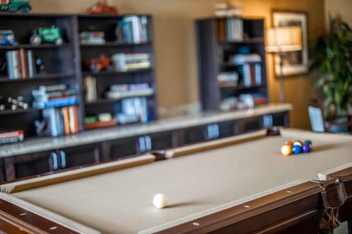 A billiards table with a cue ball and a rack of colored balls set up for a game. In the background, there are bookshelves filled with books and decorative items, a floor lamp, and a potted plant in a cozy room.