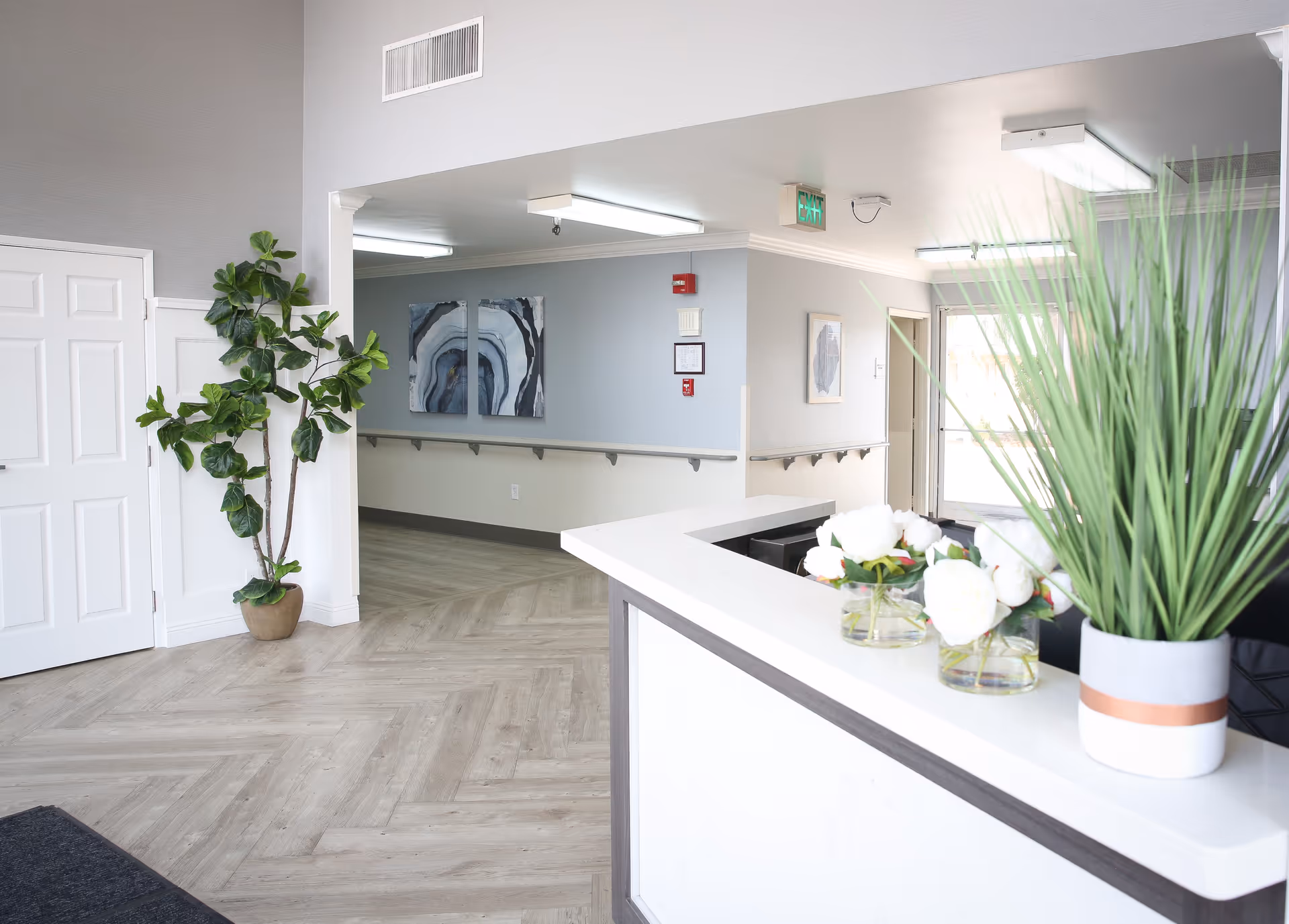 Bright and clean reception area with a white counter adorned with white flowers and a tall green plant. The space has light wood flooring, light gray walls, and modern ceiling lights. A potted plant is placed near a white door, and abstract artwork hangs on the walls. An exit door is visible in the background.