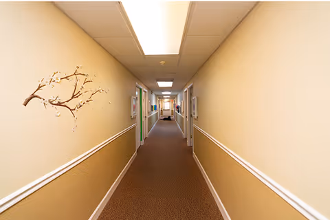 A long, well-lit hallway in a senior living facility with beige walls and brown carpet. The hallway has several doors on both sides, handrails along the walls, and a decorative branch with flowers on the left wall.