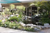 Outdoor garden area with various green plants, flowers, rocks, and a small pond in front of a building with a covered walkway and large windows.