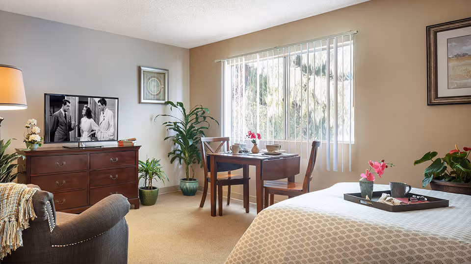 A bright and cozy living space featuring a bed with a tray holding a cup and flowers, a small wooden dining table with two chairs set near a large window with vertical blinds, a dark wooden dresser with a black and white TV showing three people, several potted plants, a framed picture on the wall, and a comfortable armchair with a throw blanket.