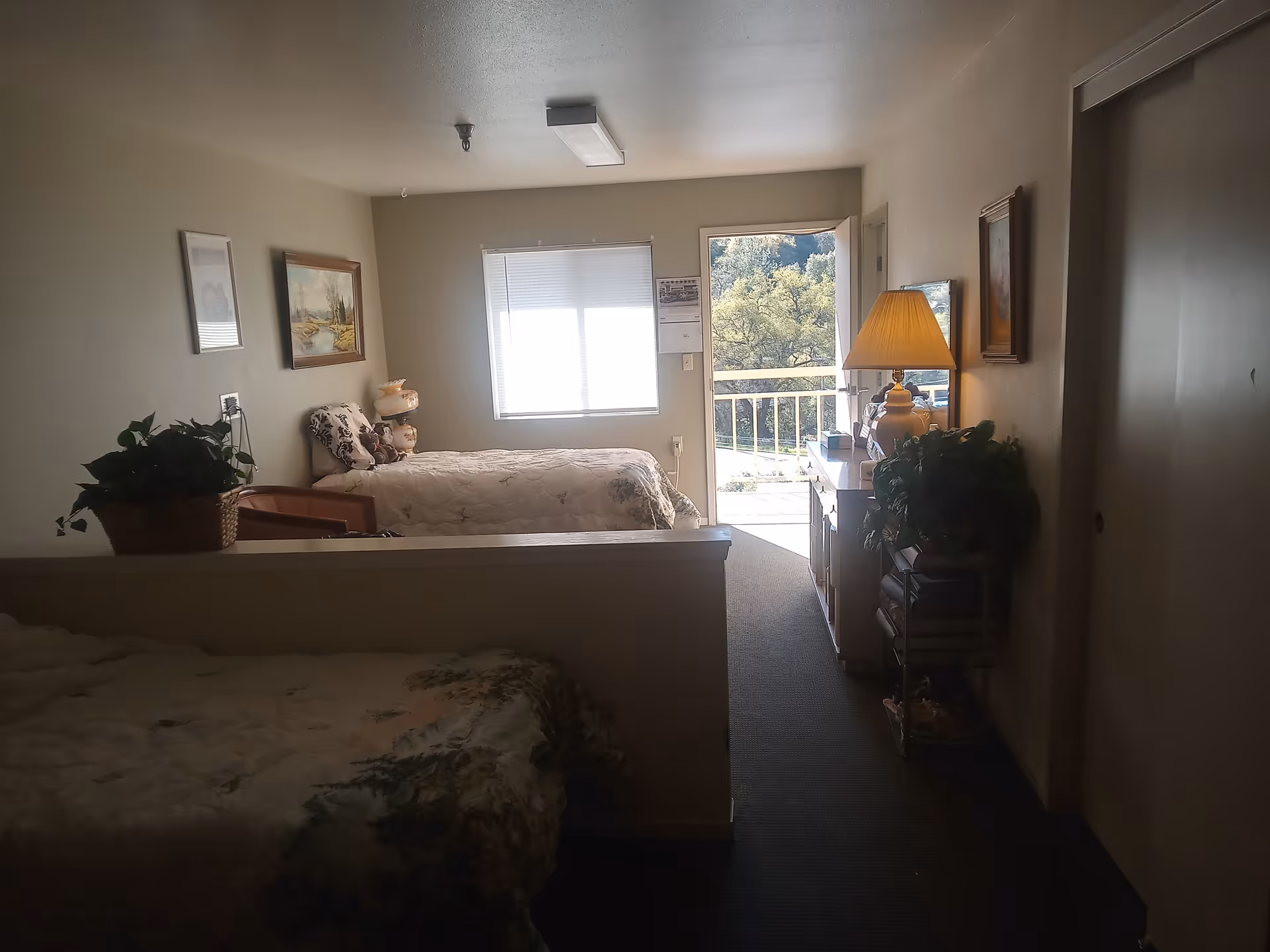 Interior view of a senior living facility bedroom with two beds separated by a half wall. The room has a window with blinds and a door leading to an outdoor balcony with trees visible outside. There are framed pictures on the walls, a lamp on a dresser, and some potted plants.