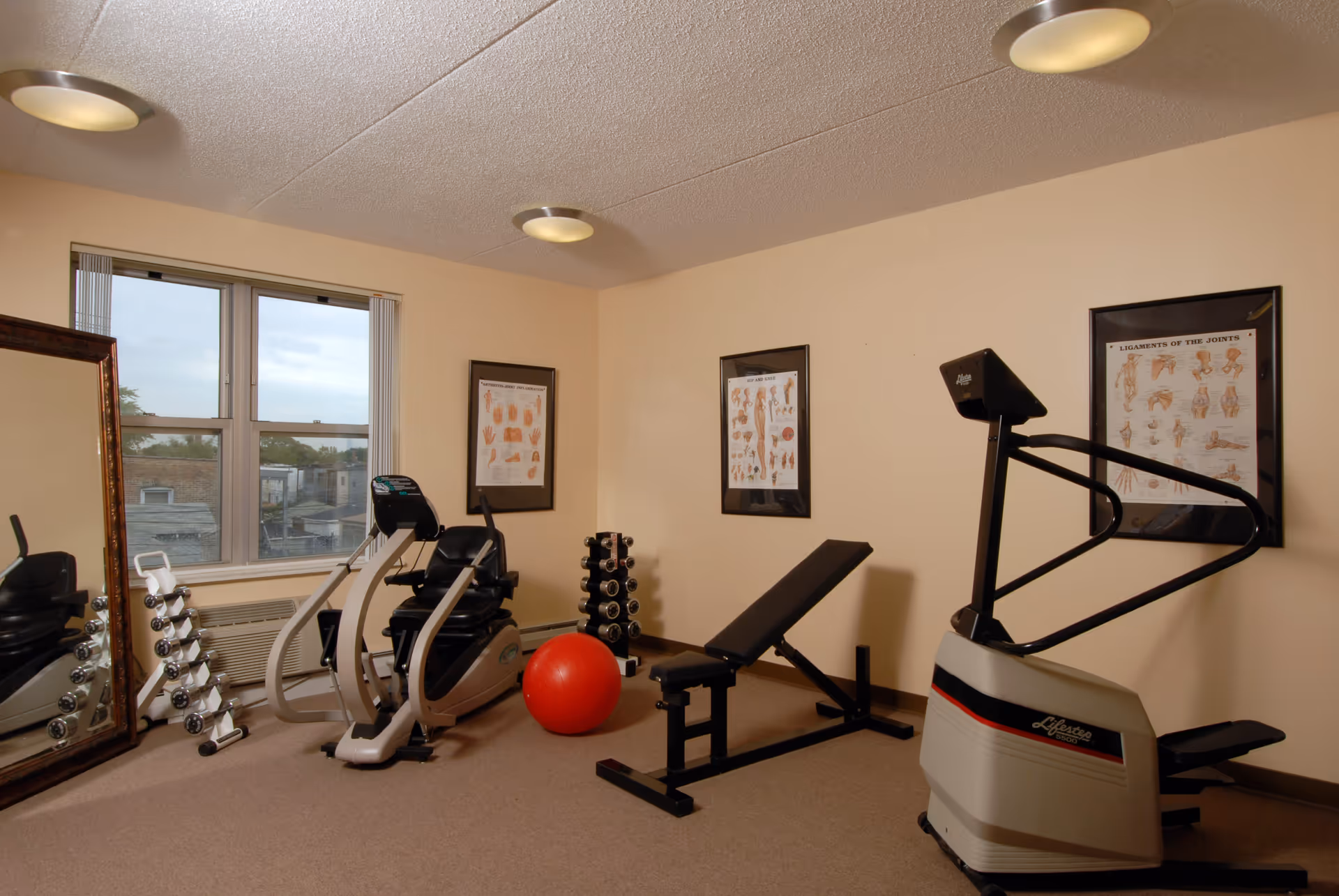 A small exercise room with beige walls and carpeted floor. The room contains exercise equipment including a recumbent bike, an adjustable weight bench, a set of dumbbells on a rack, a large red exercise ball, and another piece of exercise equipment labeled Lifester 5500. There is a large mirror leaning against one wall and three framed anatomical posters on the walls. A window shows an outside view of rooftops and trees.