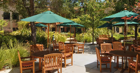 Outdoor patio area with multiple wooden tables and chairs, each table shaded by a green umbrella. The patio is surrounded by lush greenery and trees, with a building visible in the background.