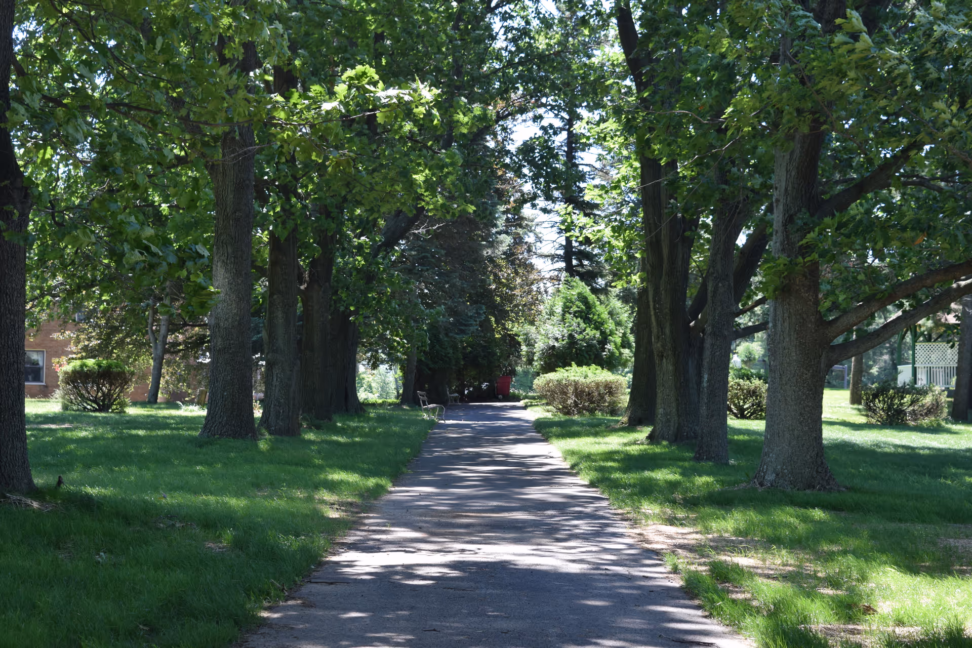 A shaded paved pathway lined with large trees on both sides, with green grass and bushes surrounding the path. There are benches along the path and a red trash bin visible in the distance. The scene is outdoors on a sunny day.
